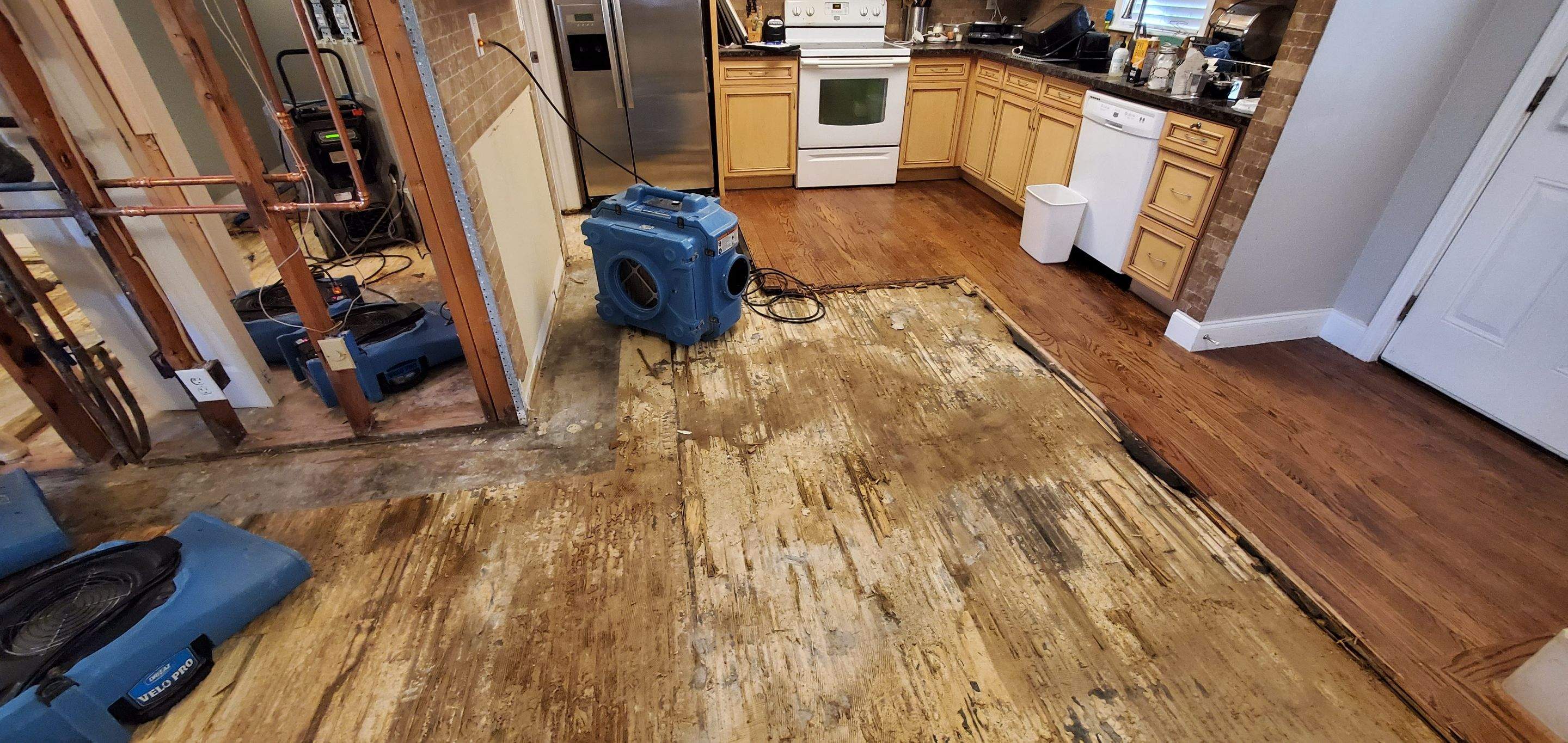 Water Damage by Baxter Professional LLC