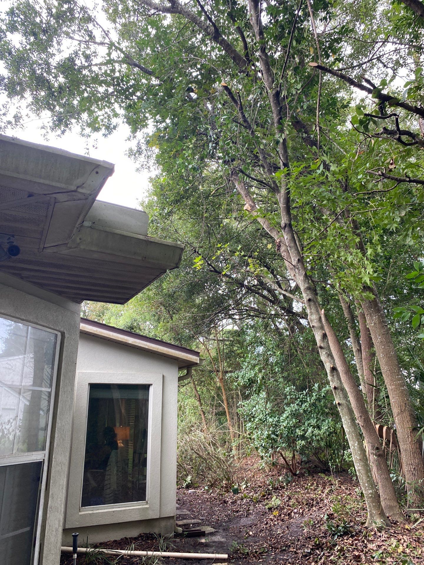 Deerwood Residence | Property Clean Up  by ProGreen Services