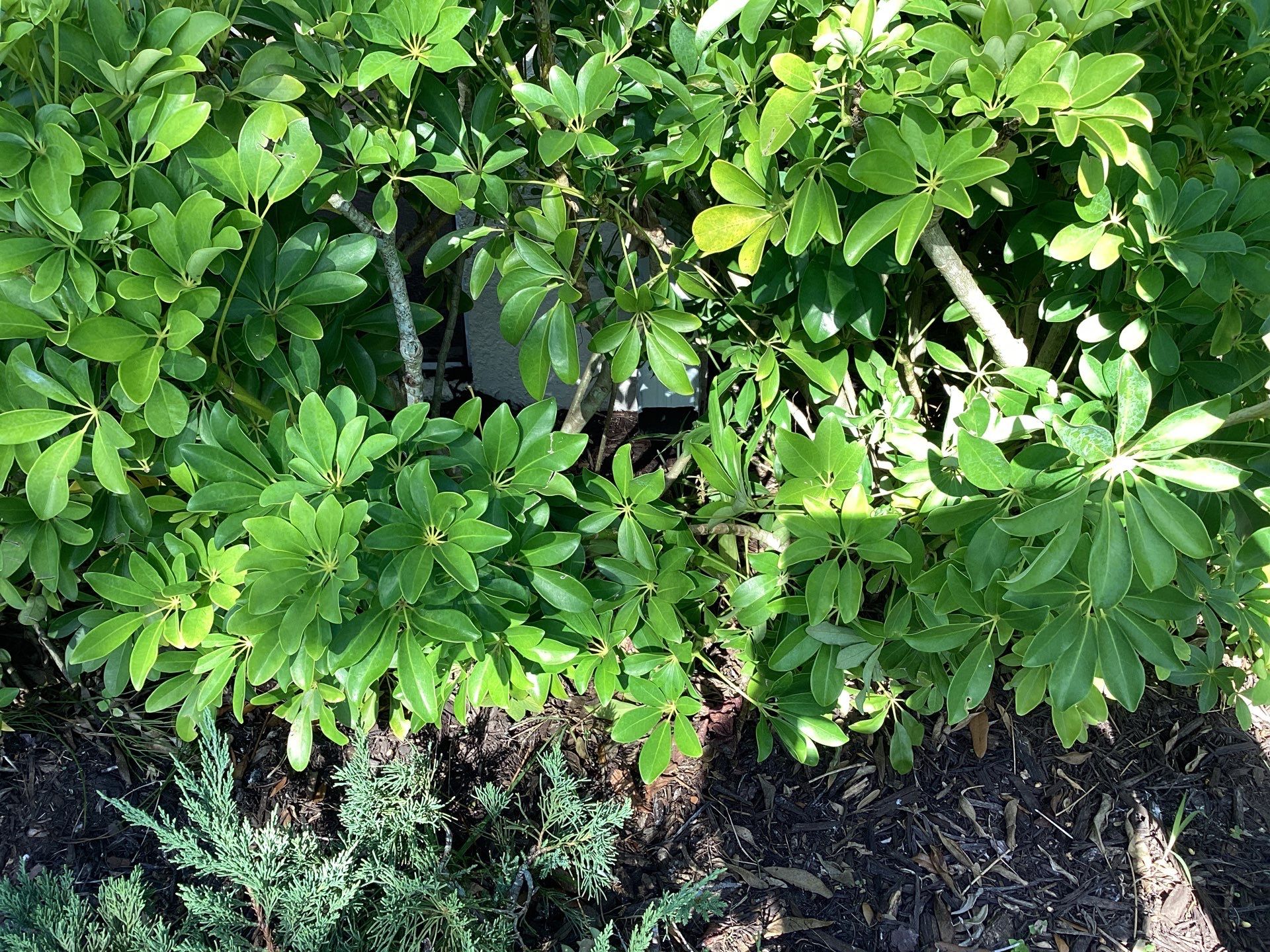 Seamless Gutter Installation for Beach Homes  by Gutter Professors