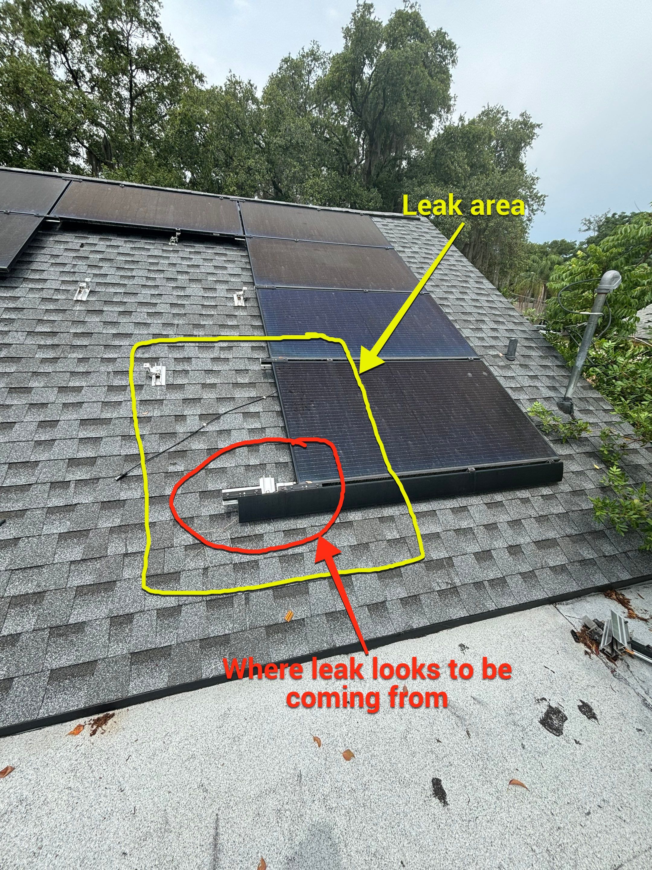 Pewter Gray Shingles by Reimagine Roofing