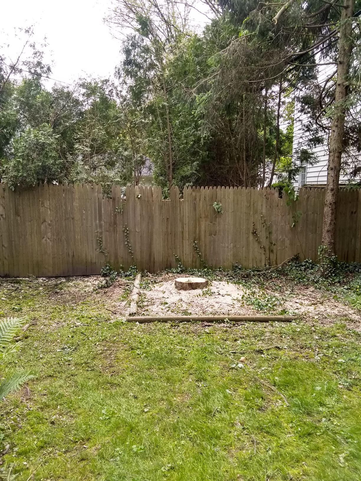 Tree Removal using Tree Removal by Mike Jones & Sons Tree Service LLC 