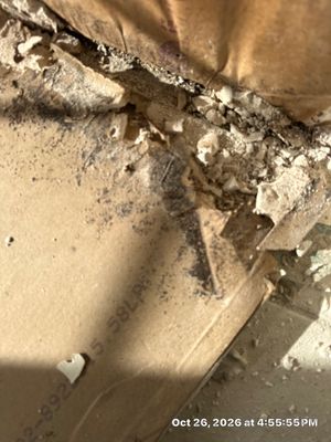 Roof Leak Water Damage — Estero, FL