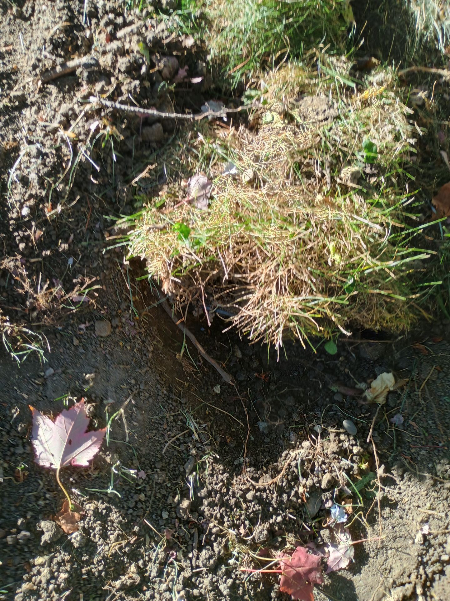 French Drain Installation for Michael by Waterproofing Northeast
