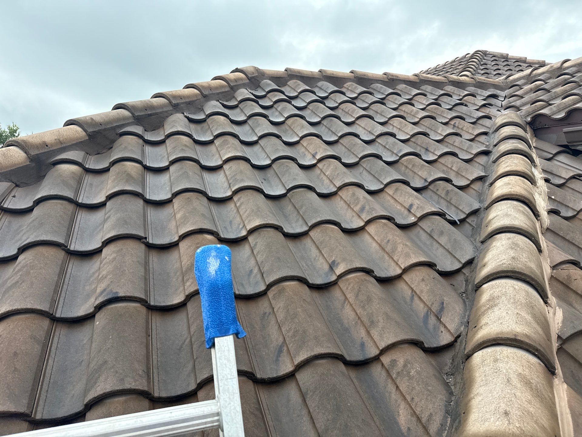 Concrete Tile Roof, Paver Driveway & Lanai Cleaning – Artisan Lakes Esplanade, Palmetto, FL by Sunshine AquaWash