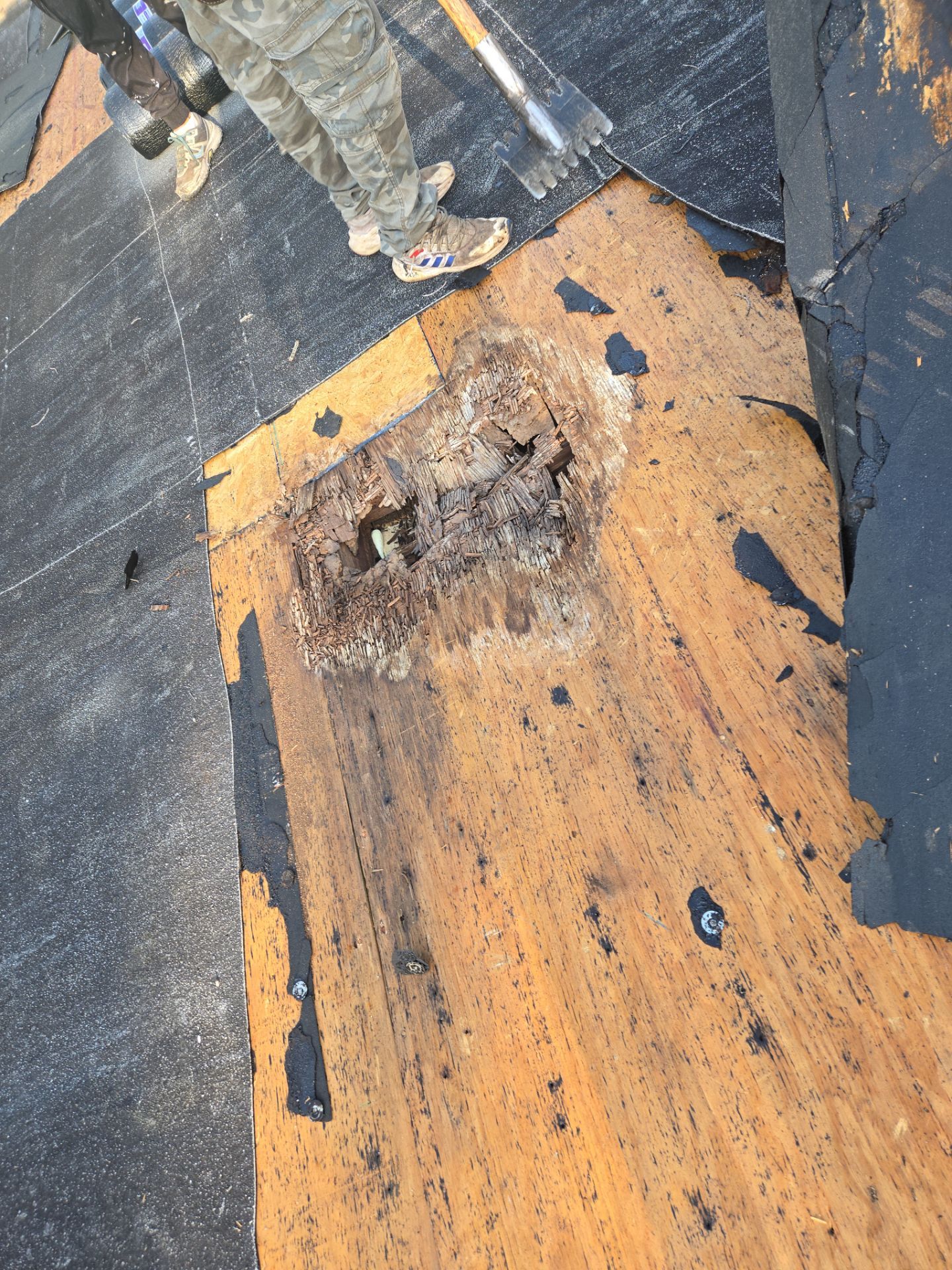 Project in St. Petersburg 33705 by Mitchell Roofing Company LLC 
