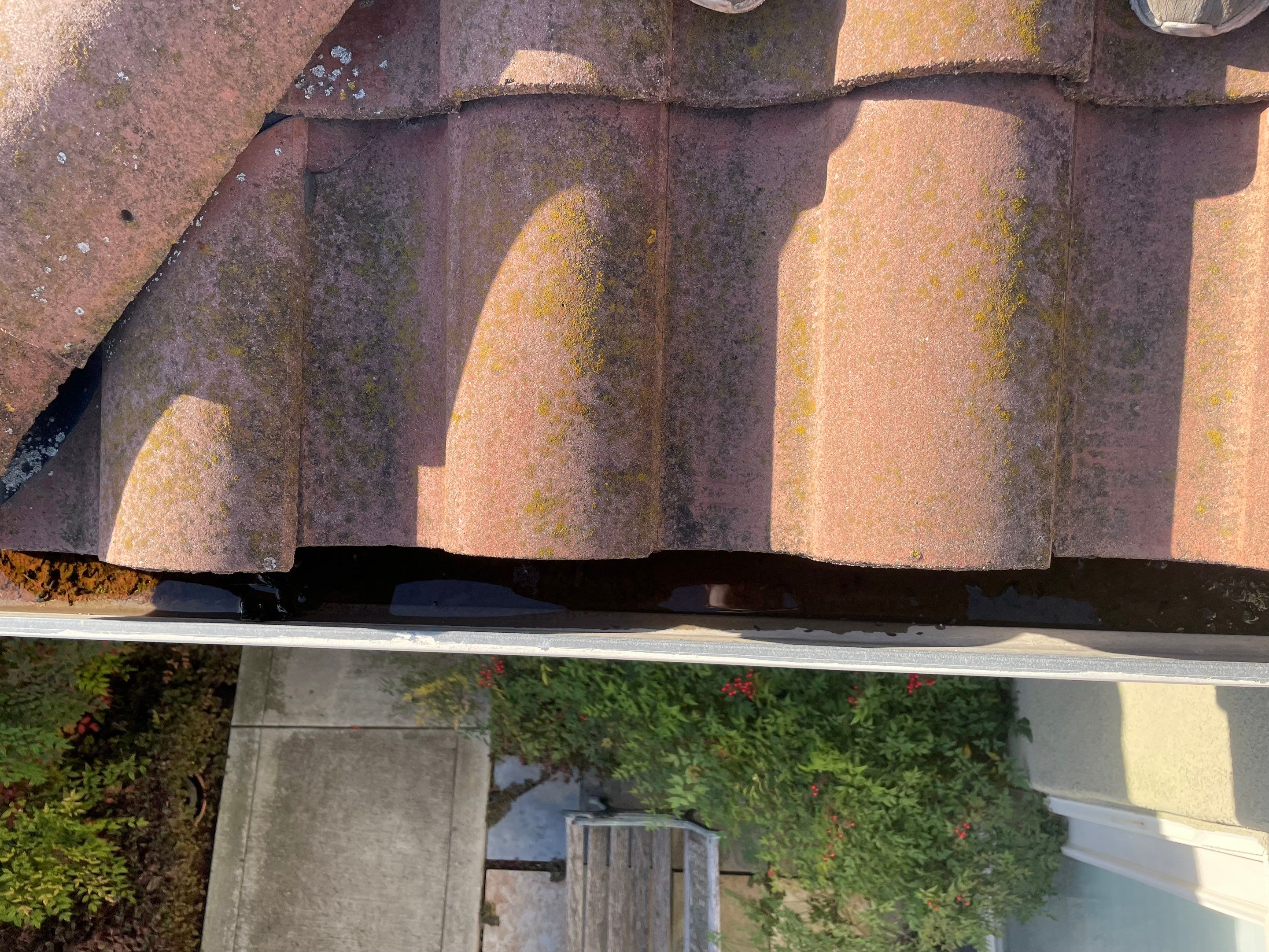 Morgan Hill Triple Combo Cleaning by All One Solar Shine