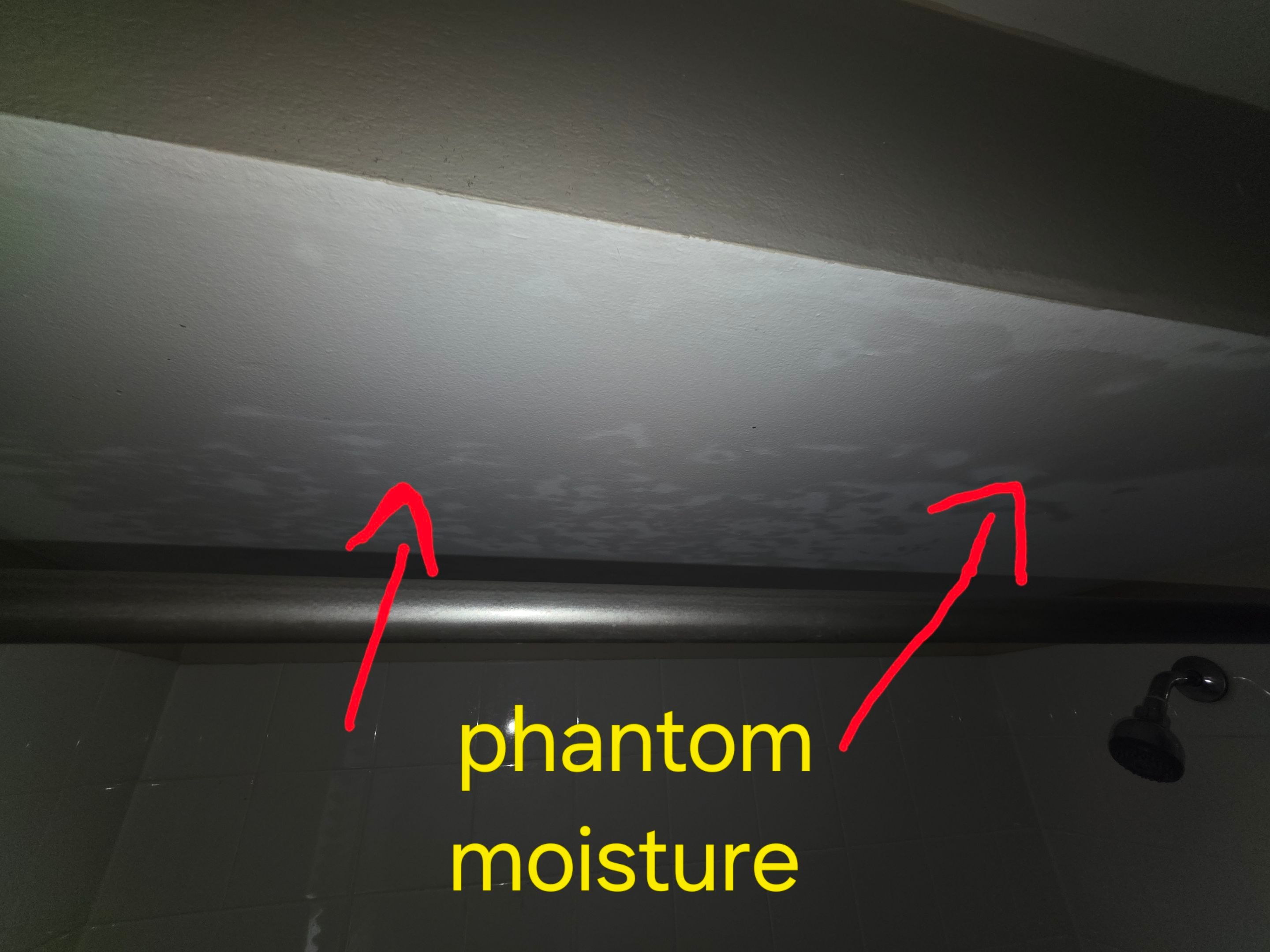 Bathroom Mold by Chicagoland Water Medics