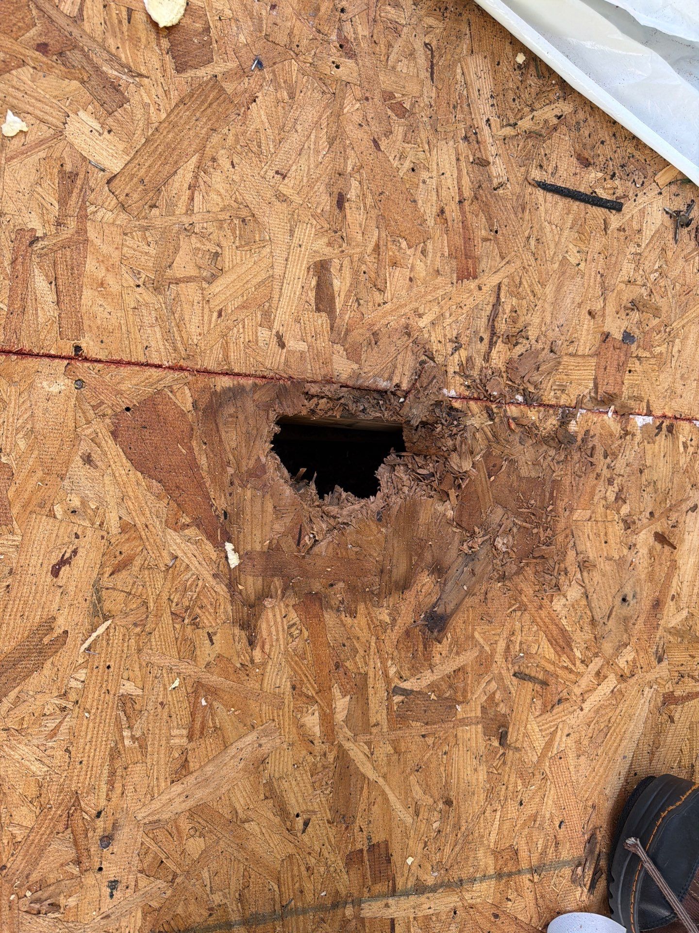 Jessica P. by Boss Hogg Roofing