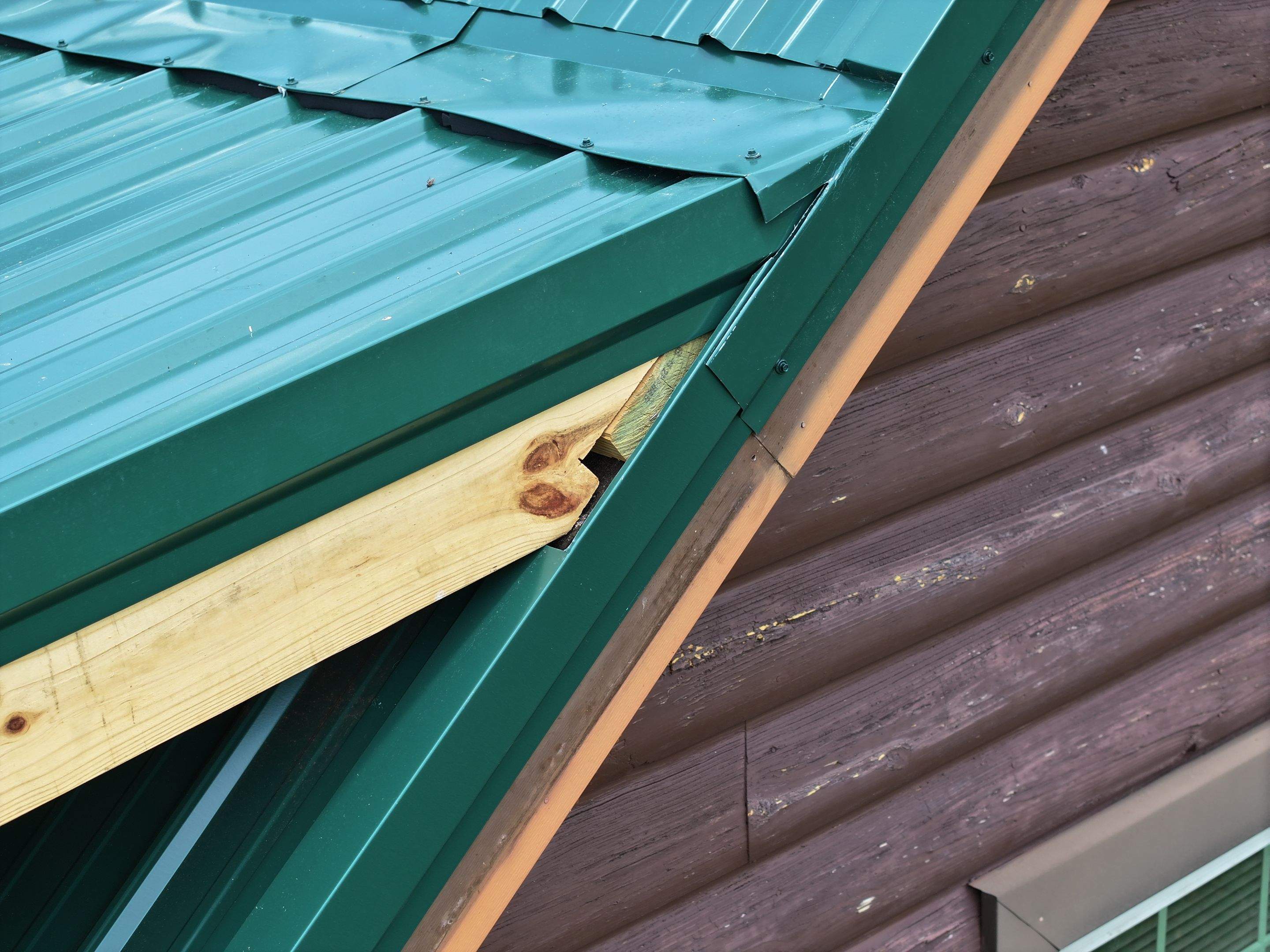 Paddle Creek Pet Ranch Cabin  by Omnia Roofing