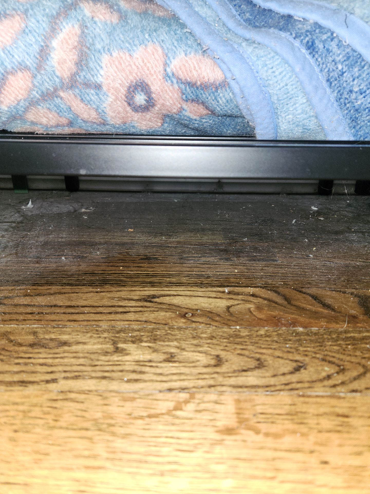 Project in Chicago by Xo Clean Services 