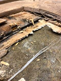 Water Damage from next door unit by Newhouse Restoration