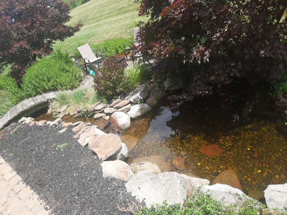 Tree Removal using Tree Removal by Mike Jones & Sons Tree Service LLC 