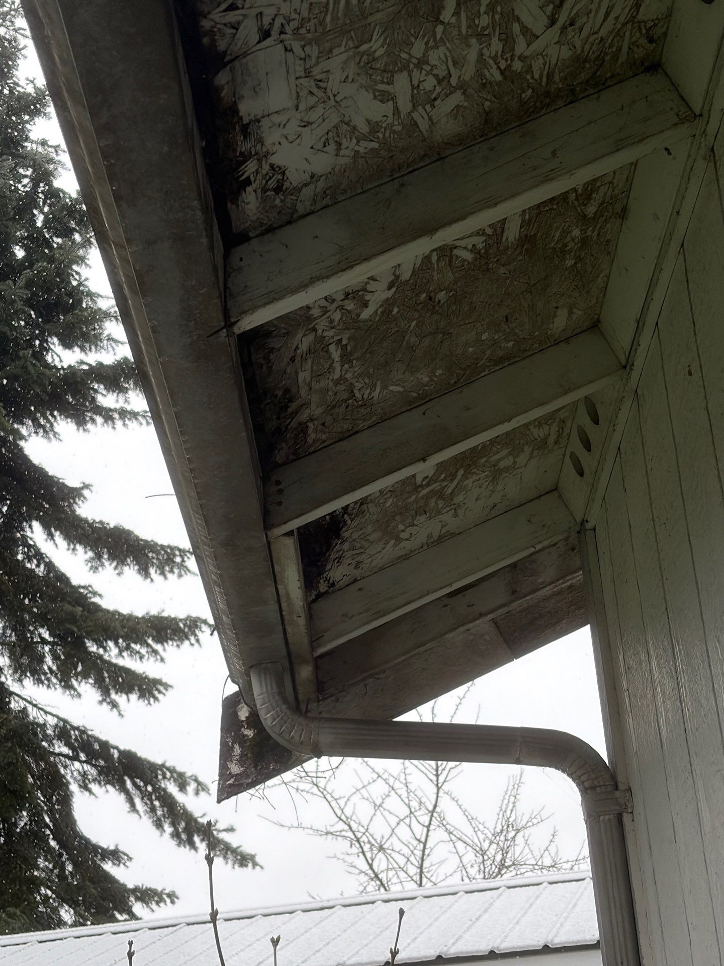 Roof in Lake Stevens by Connolly Construction Company