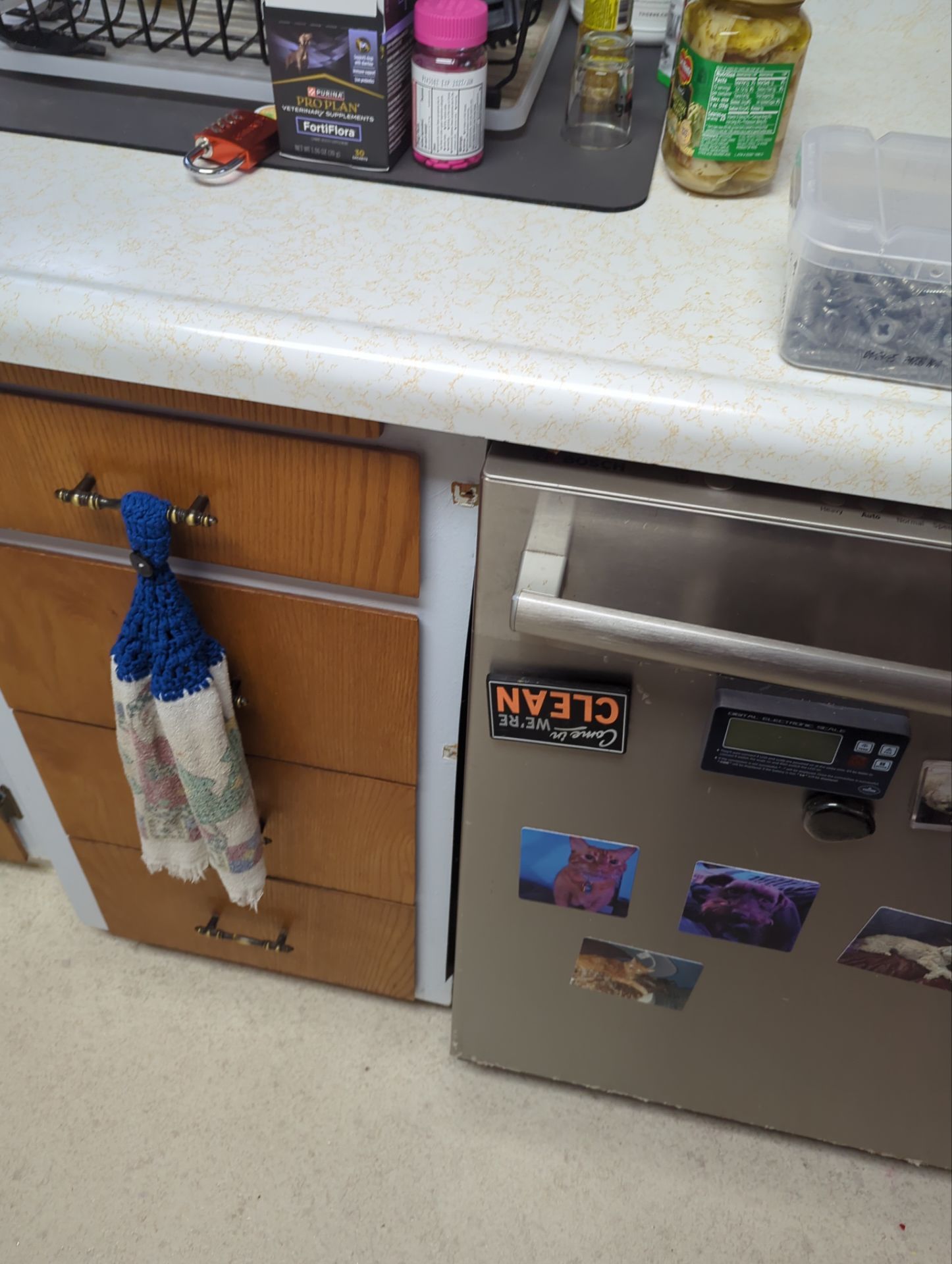 Troubleshoot Dishwasher by Bear Electric