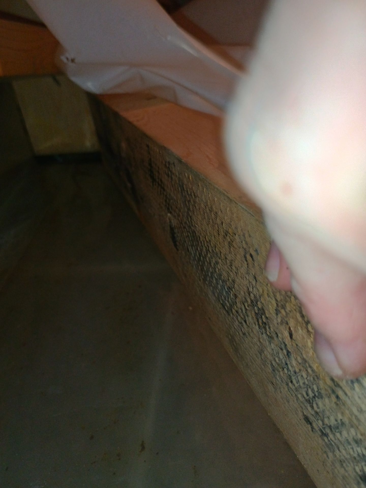 Interior Drain Tile & Sump Pump in Lino Lakes, MN by Waterproofing Northeast