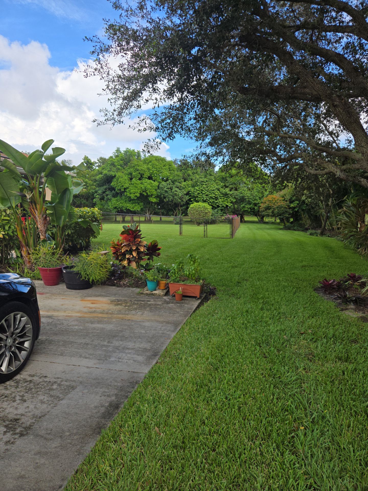 🌴✨ “Crane Creek Snip, Tip & Tune-Up” ✨🌴 by Alpha Zeta Enterprises Inc