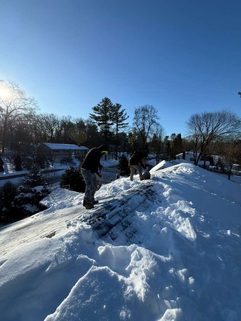 Sow Removal by Mighty Dog Roofing of Greater Middlesex County