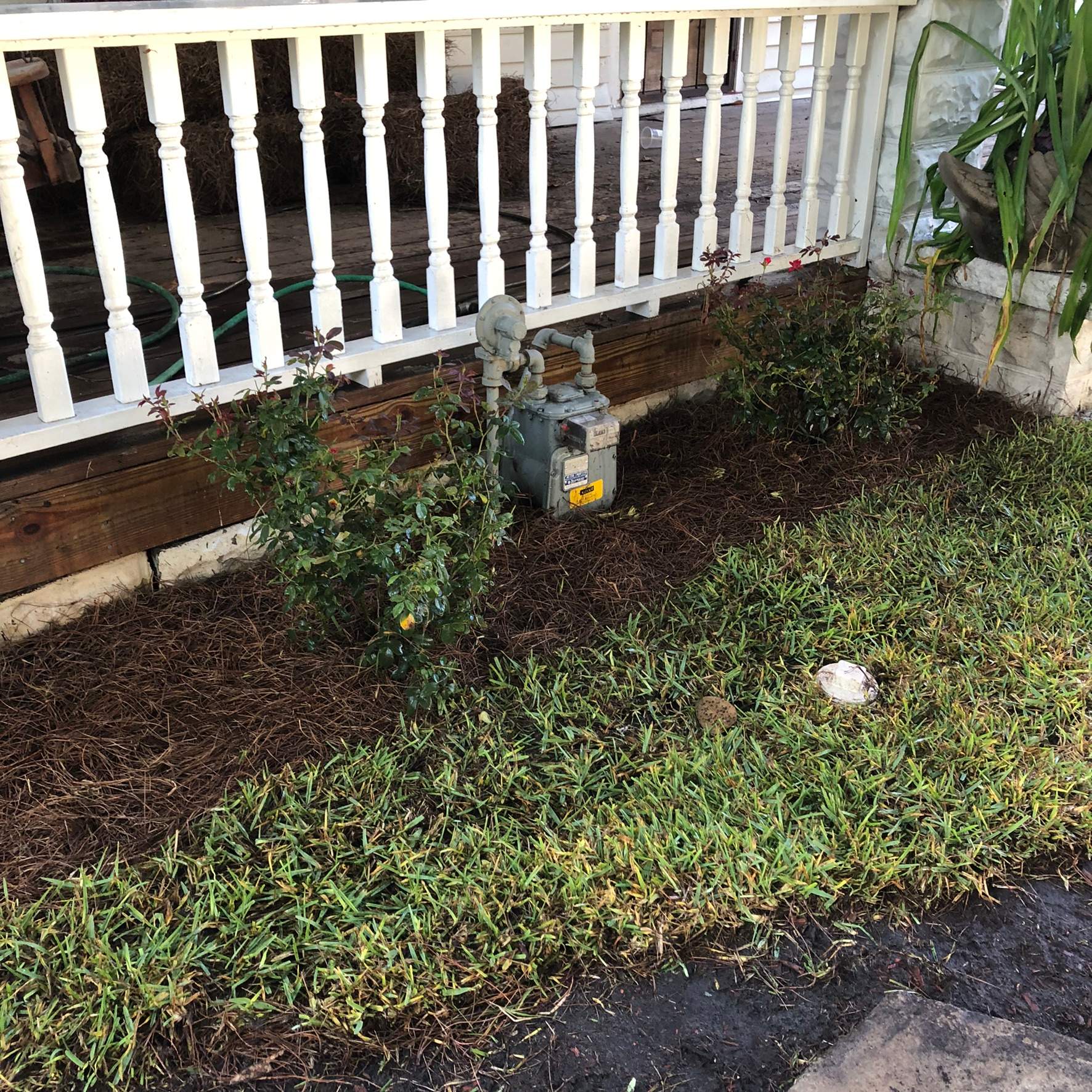 Extreme Clean Up - Landscape Install | Residential by ProGreen Services