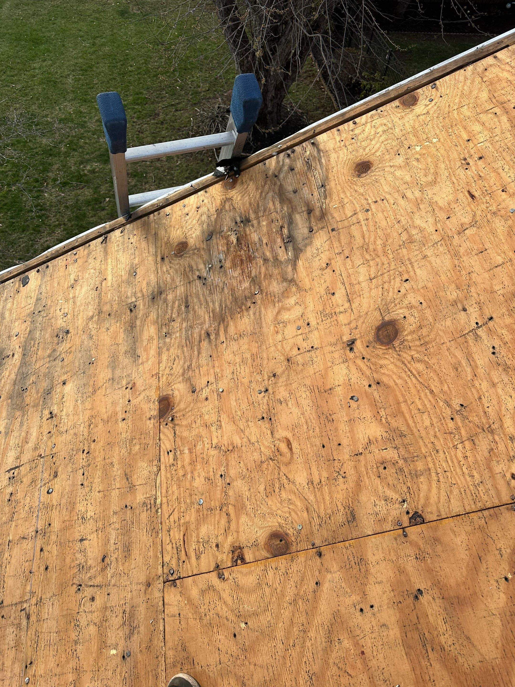 Roofing and Gutters  by Stofan Construction LLC