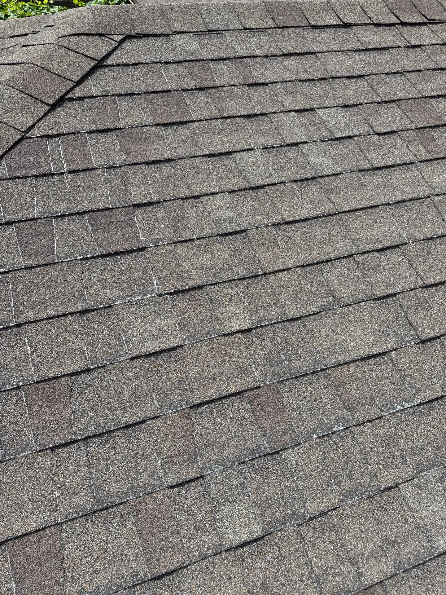 Complete Residential Roof Replacement and Attic Ventilation Upgrade in Boise by Olive Roofing