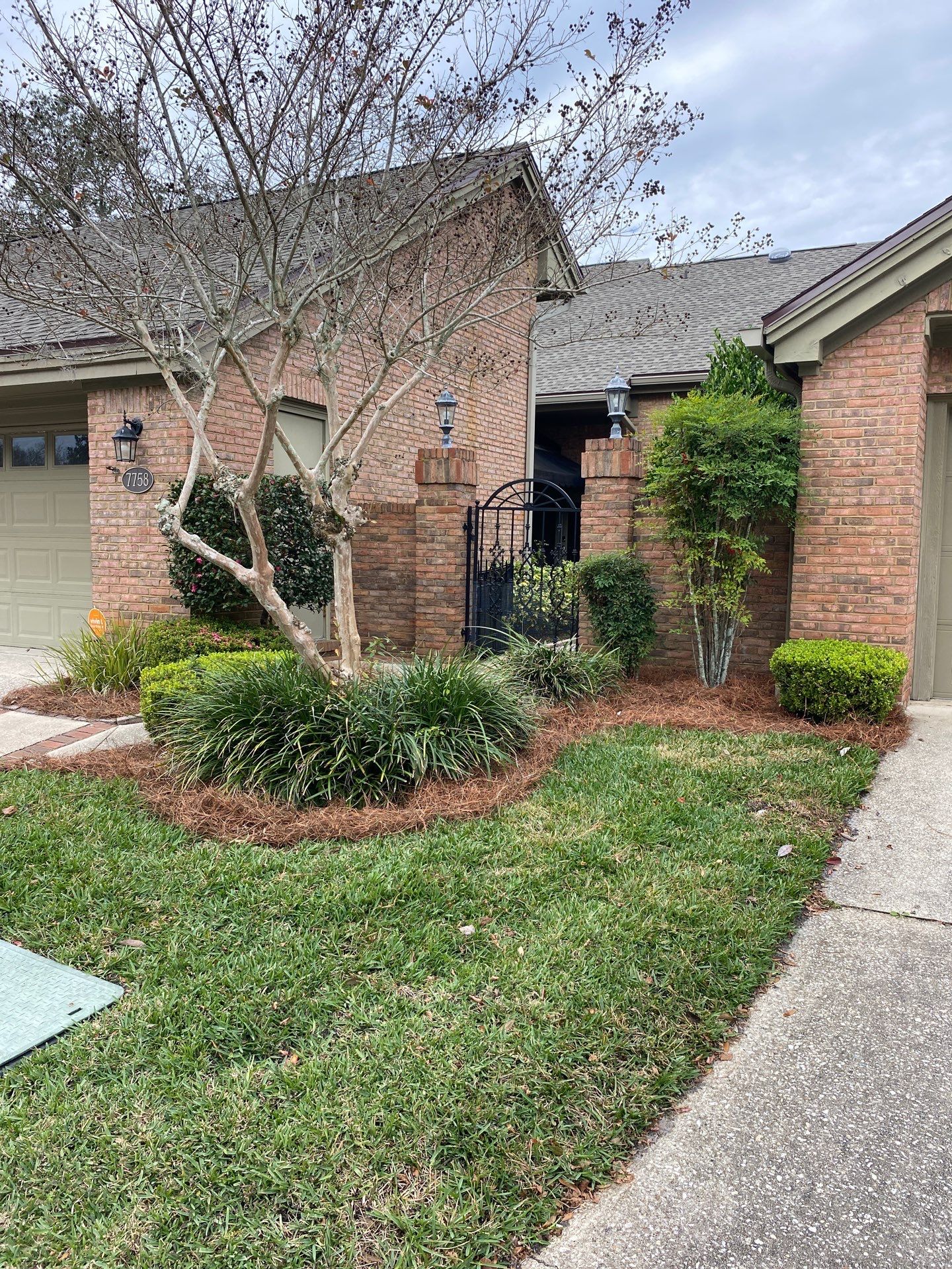 Deerwood Pointe | Tree Removal & Pine Straw Installation by ProGreen Services