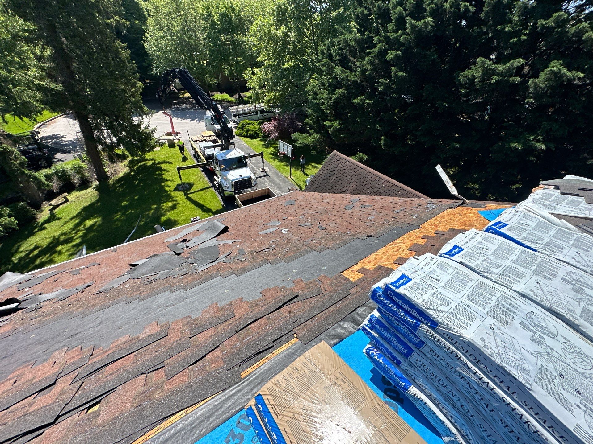 Designer Shingle Roof Replacement in Baltimore, MD • Susan S. by Seipp Roofing, LLC