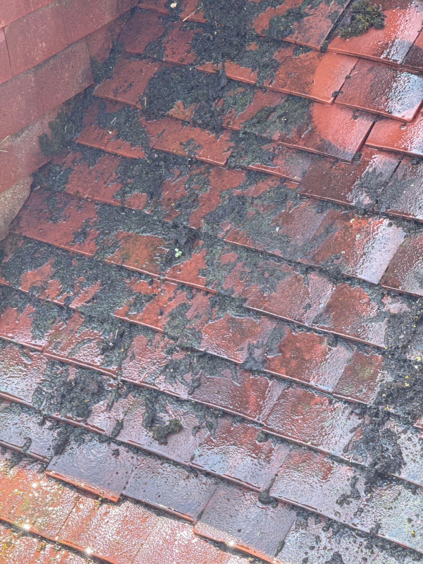 Roof And Driveway Clean by Ges Exterior Cleaning ltd