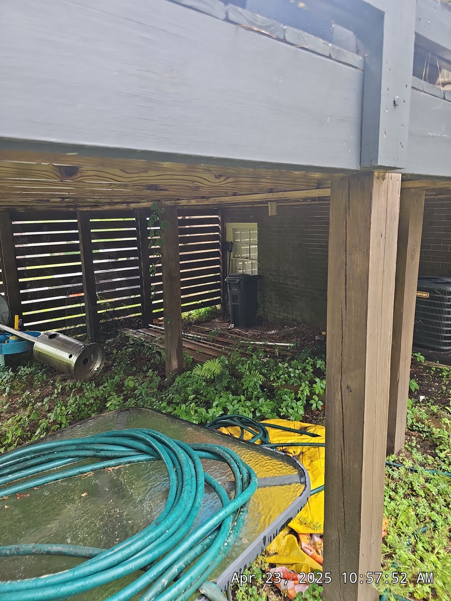 Pantanzis Project in Birmingham by The Window Source