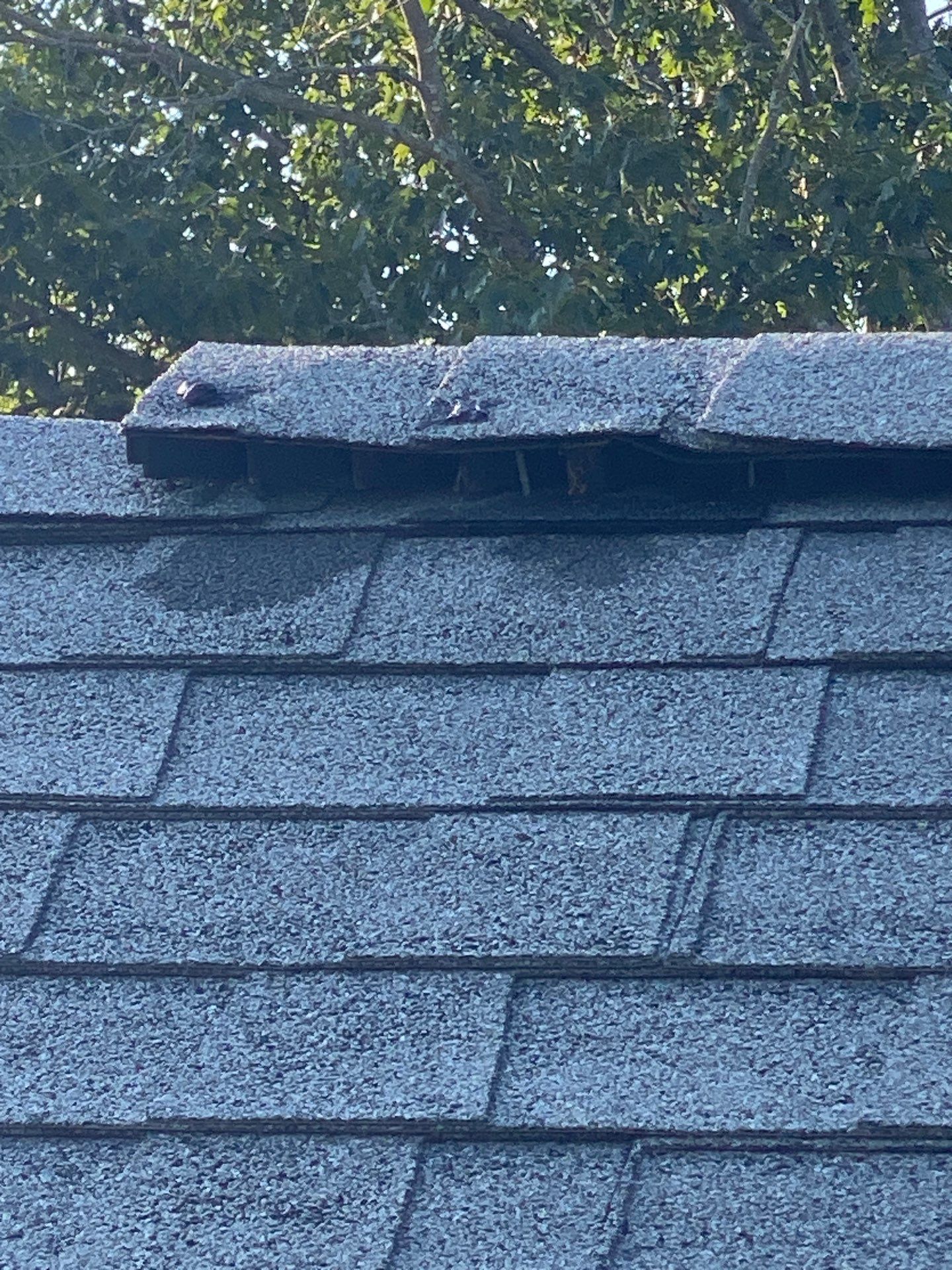 Roof Replacement & EPDM Flat Roof Installation, Billerica, MA by Mighty Dog Roofing of Greater Middlesex County