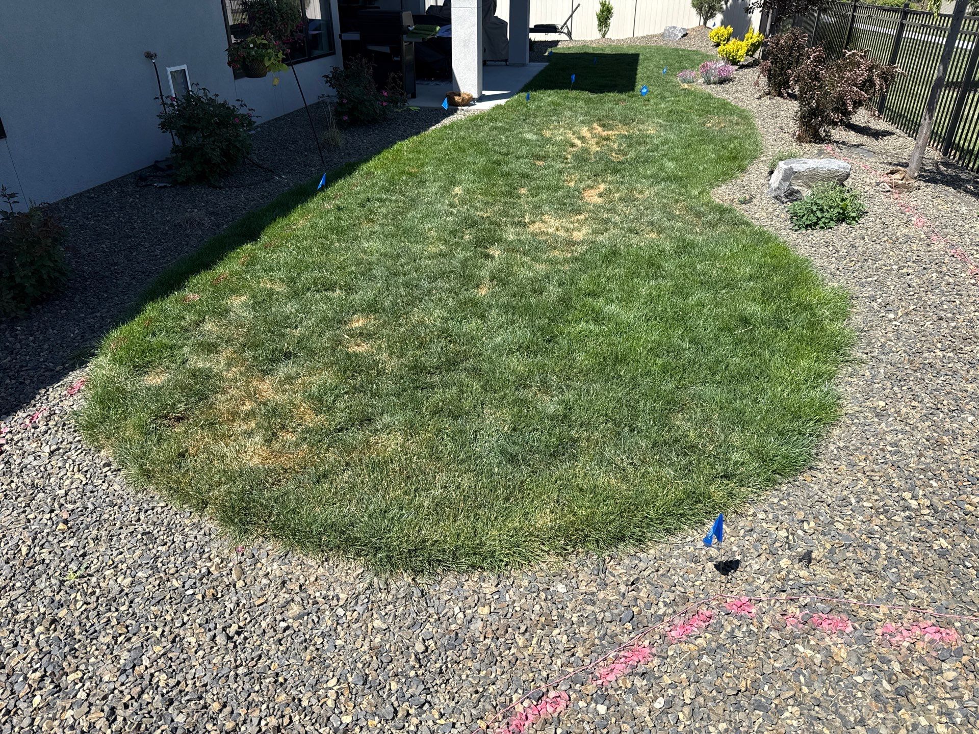 Custom Backyard Putting Green in Eagle, Idaho by Synlawn Idaho