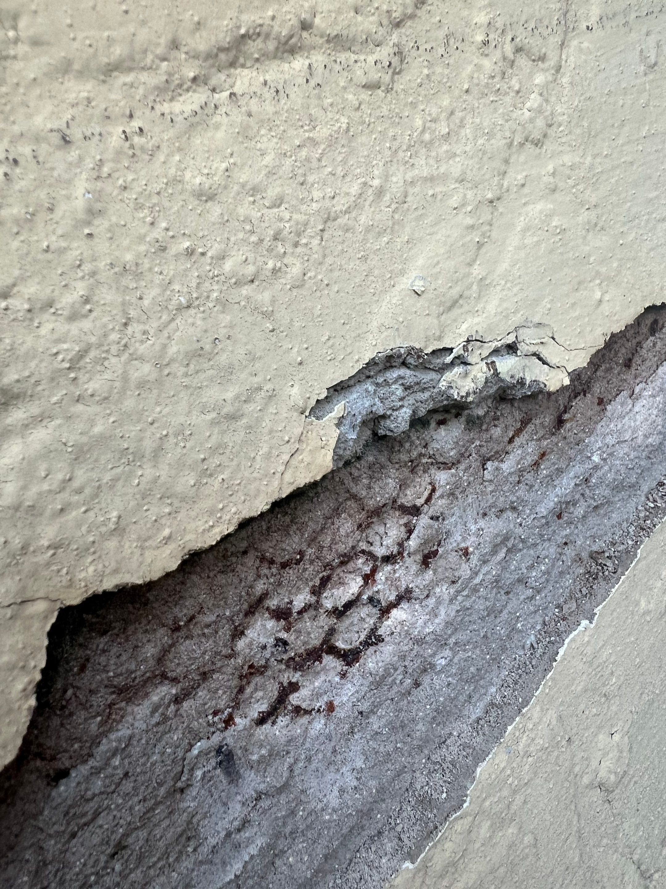 Natures Cove Rd., Dania Beach, FL by G&J Roofing 