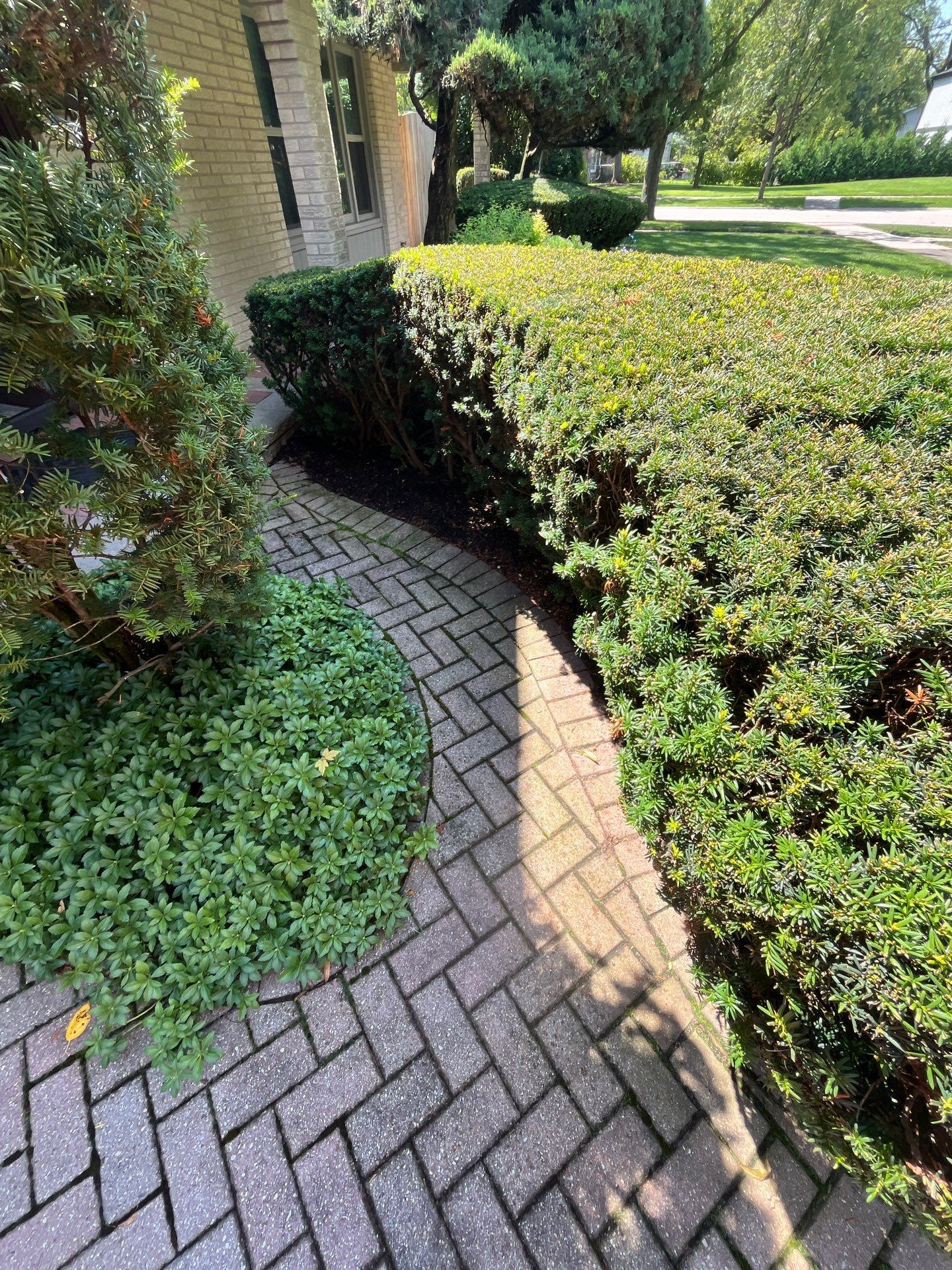 Brick paver clean, sand and seal.  using Surebond SB-1300 by Northern Power Washing LLC.