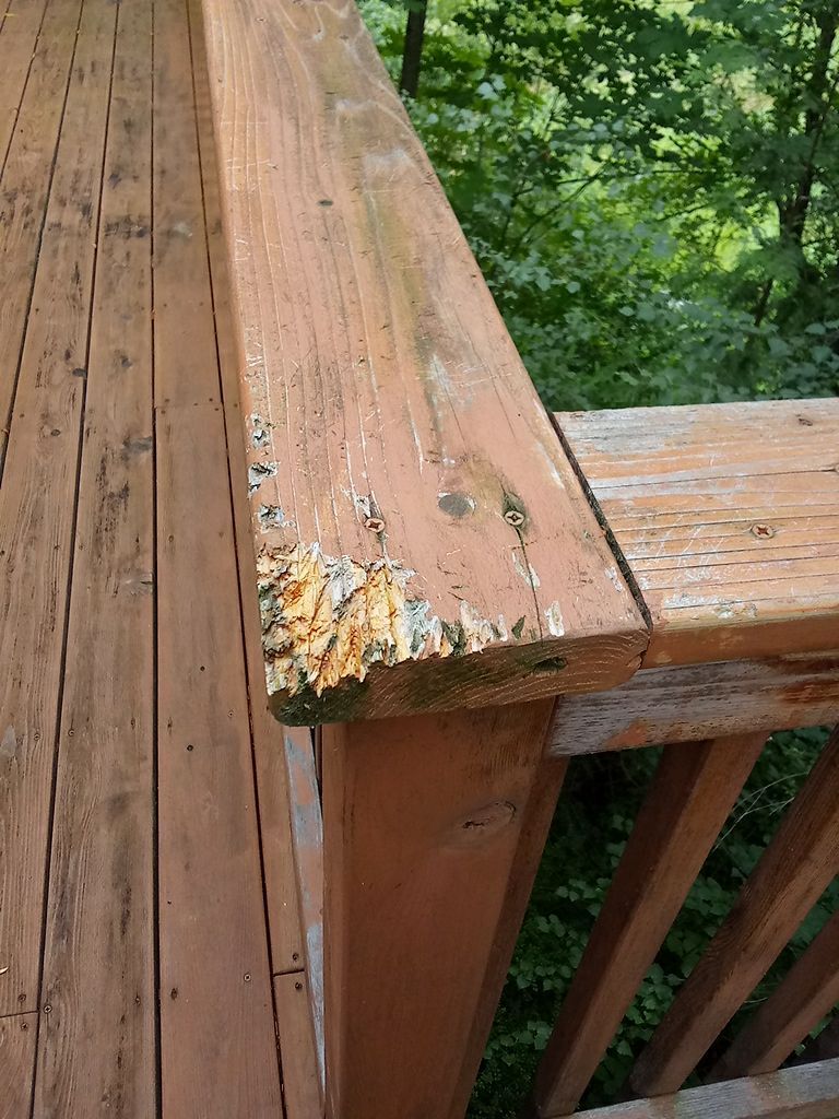 Deck Restoration using Armstrong-Clark Semi-Transparent Cedar 97229 by Paul Schopp