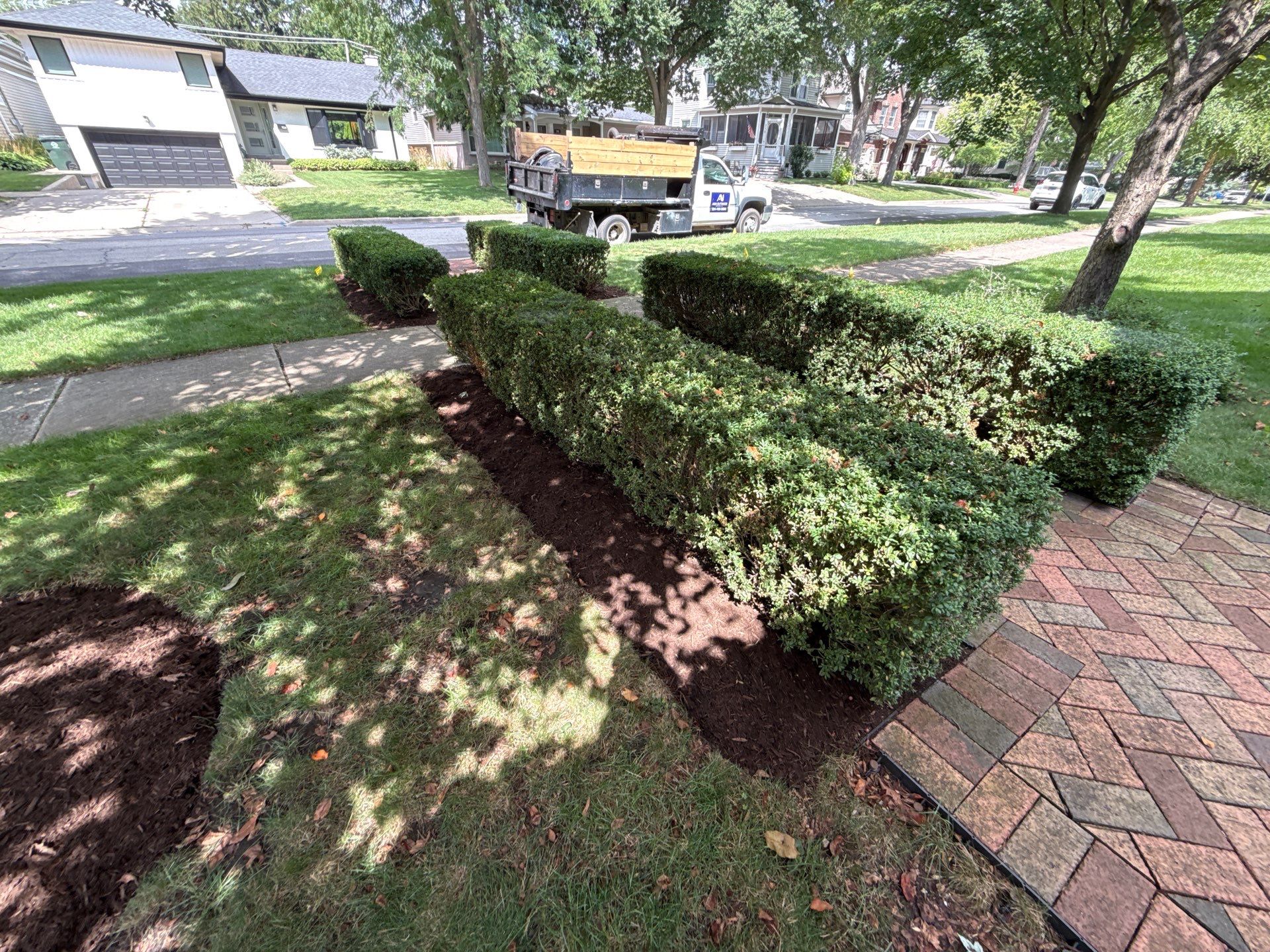 Jason G. - Arlington Heights, IL by A&N