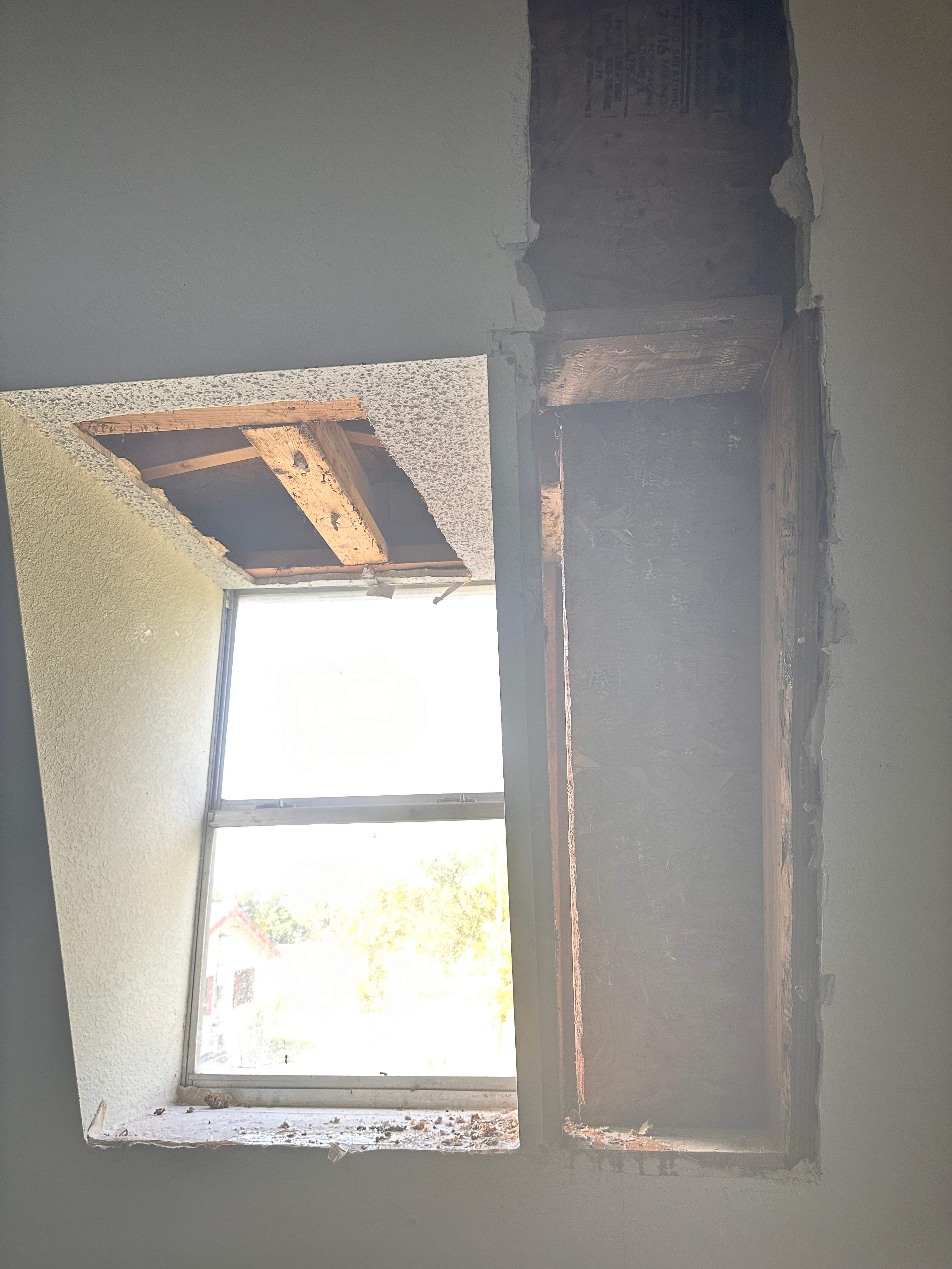 Sheetrock Bees by Rockwall Honey Bee Company