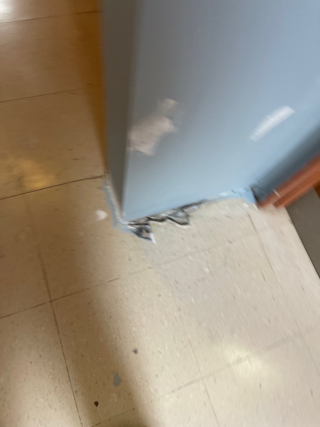 Cat Hospital Project in Pittsburgh by Floors in a Day, Inc