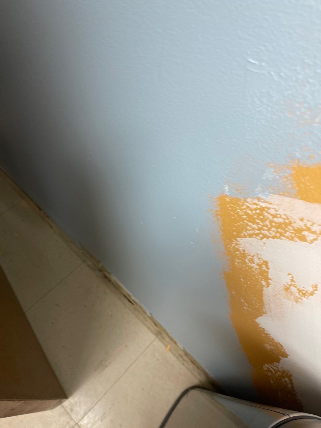 Cat Hospital Project in Pittsburgh by Floors in a Day, Inc