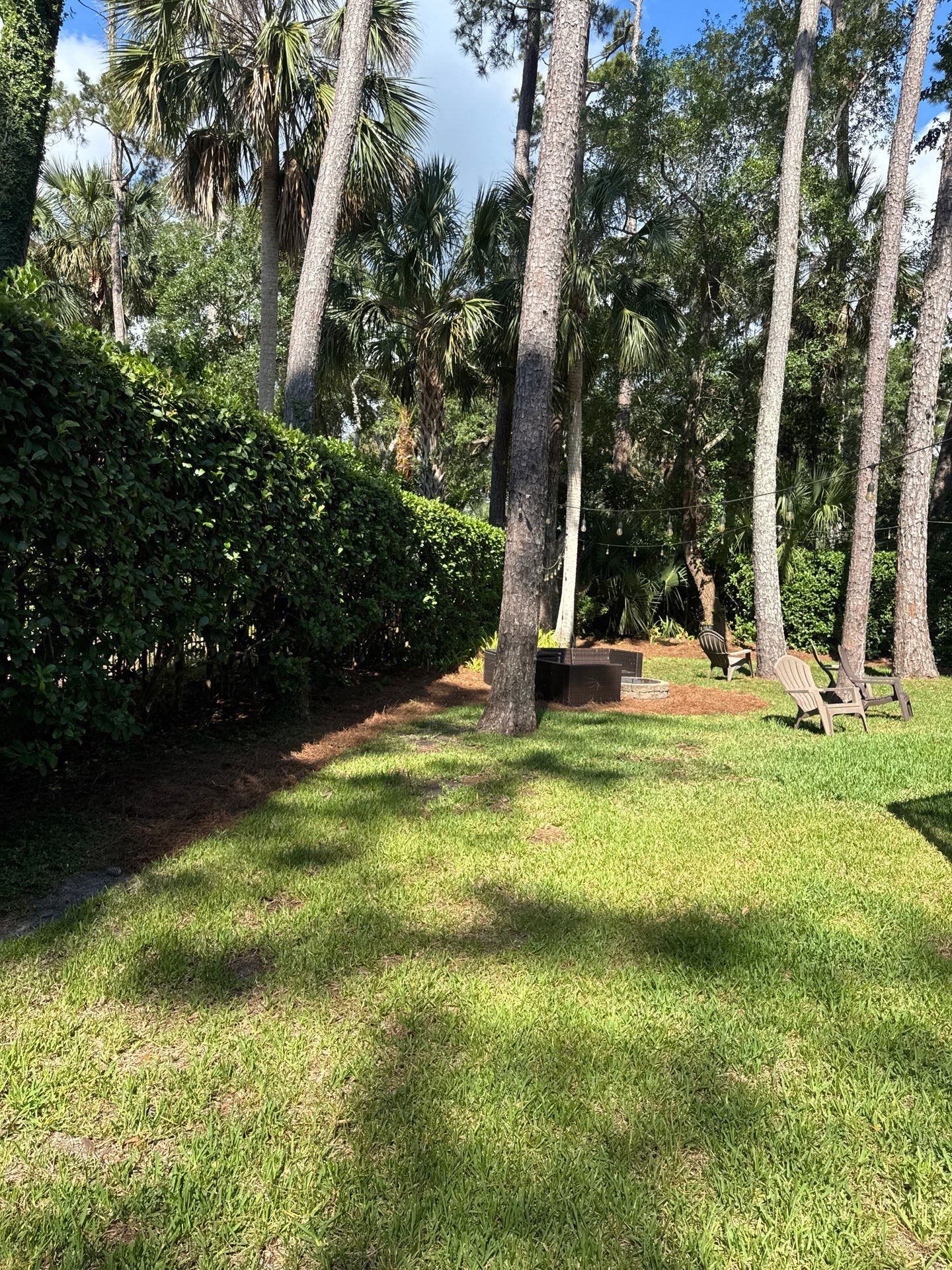 Residential | Pine Straw Install by ProGreen Services