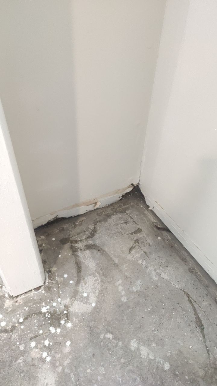 Mold Remediation by Accountable Home Services