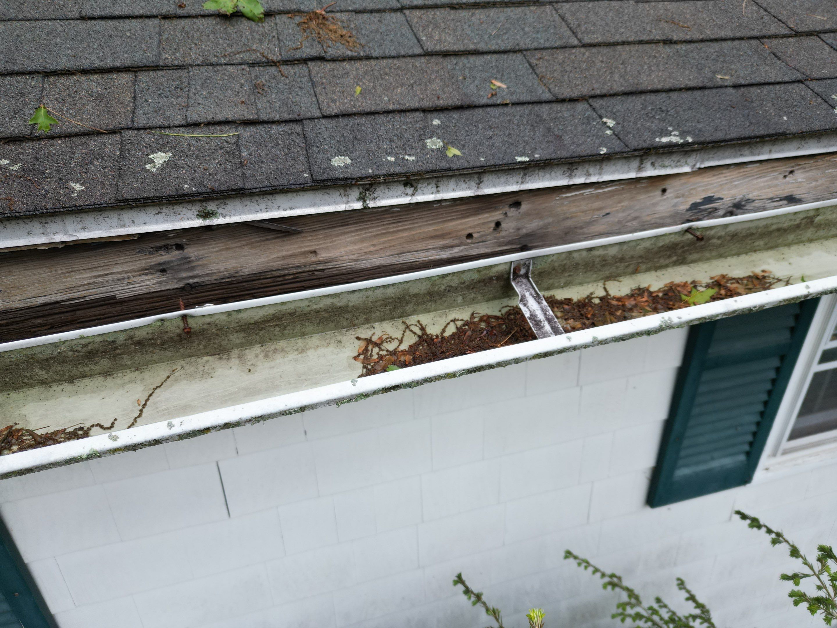 Roof & Exterior Renovation – Chelmsford, MA by Mighty Dog Roofing of Greater Middlesex County
