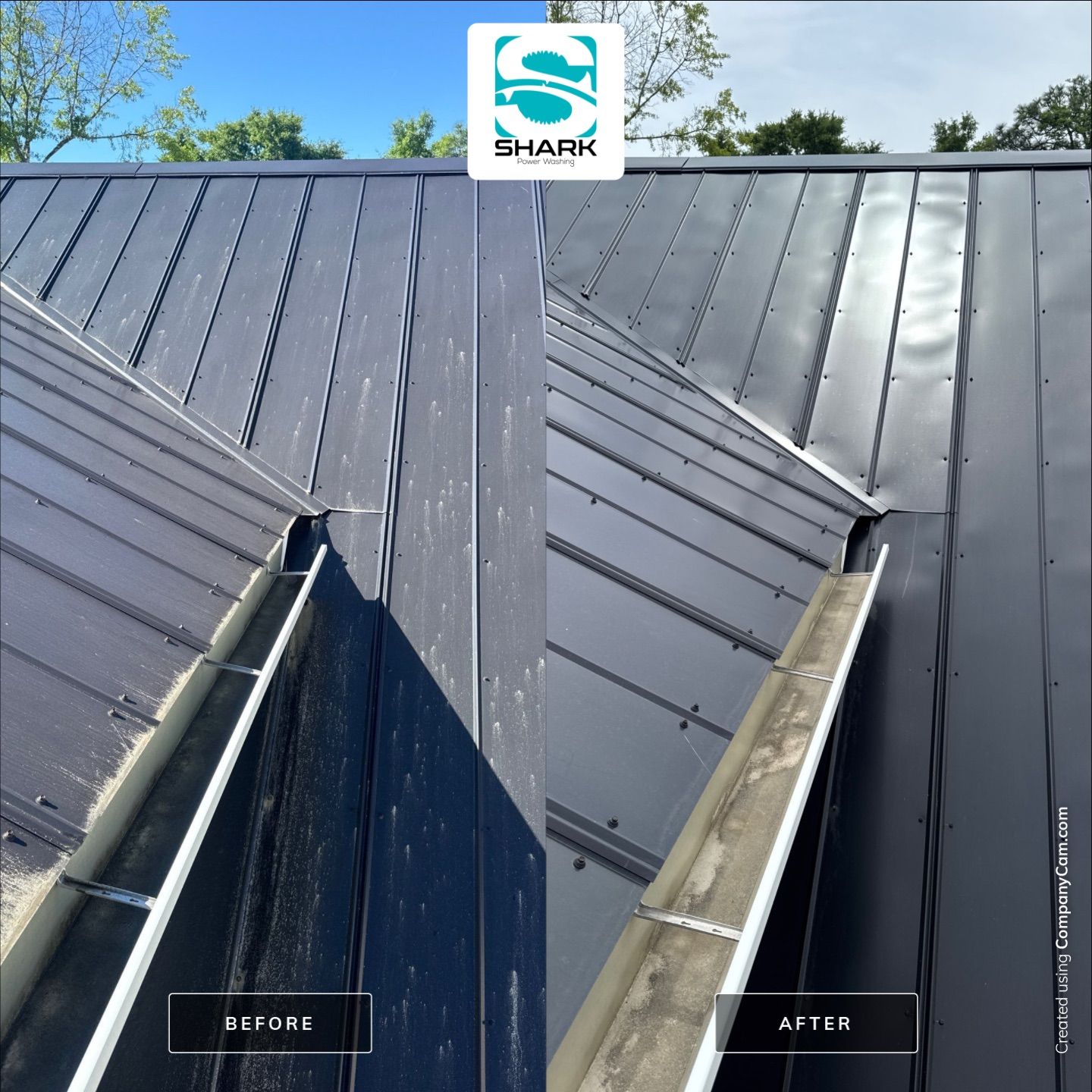 House Washing in Wilmington by Shark Power Washing