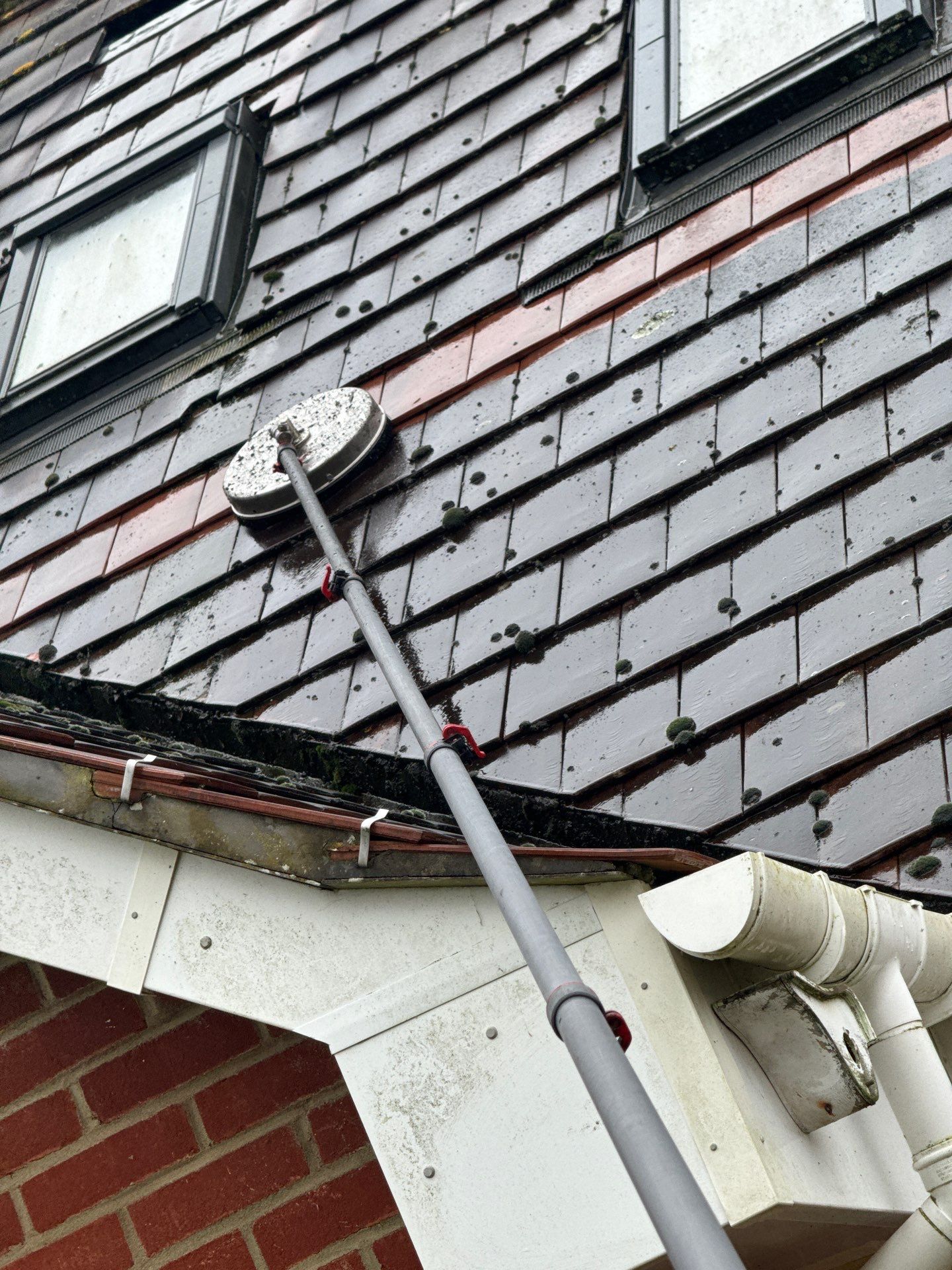 Large Care Home Roof Clean using Mosmatic FSC and Biocide by Ges Exterior Cleaning ltd