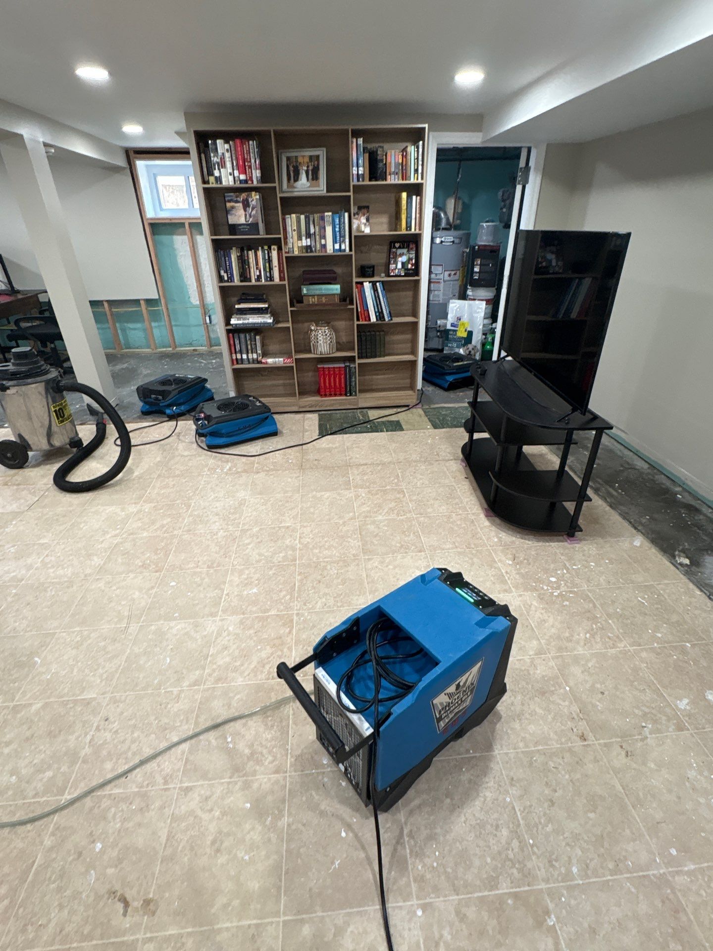 Basement Moisture Remediation in Mineola by EMS Restoration Corp