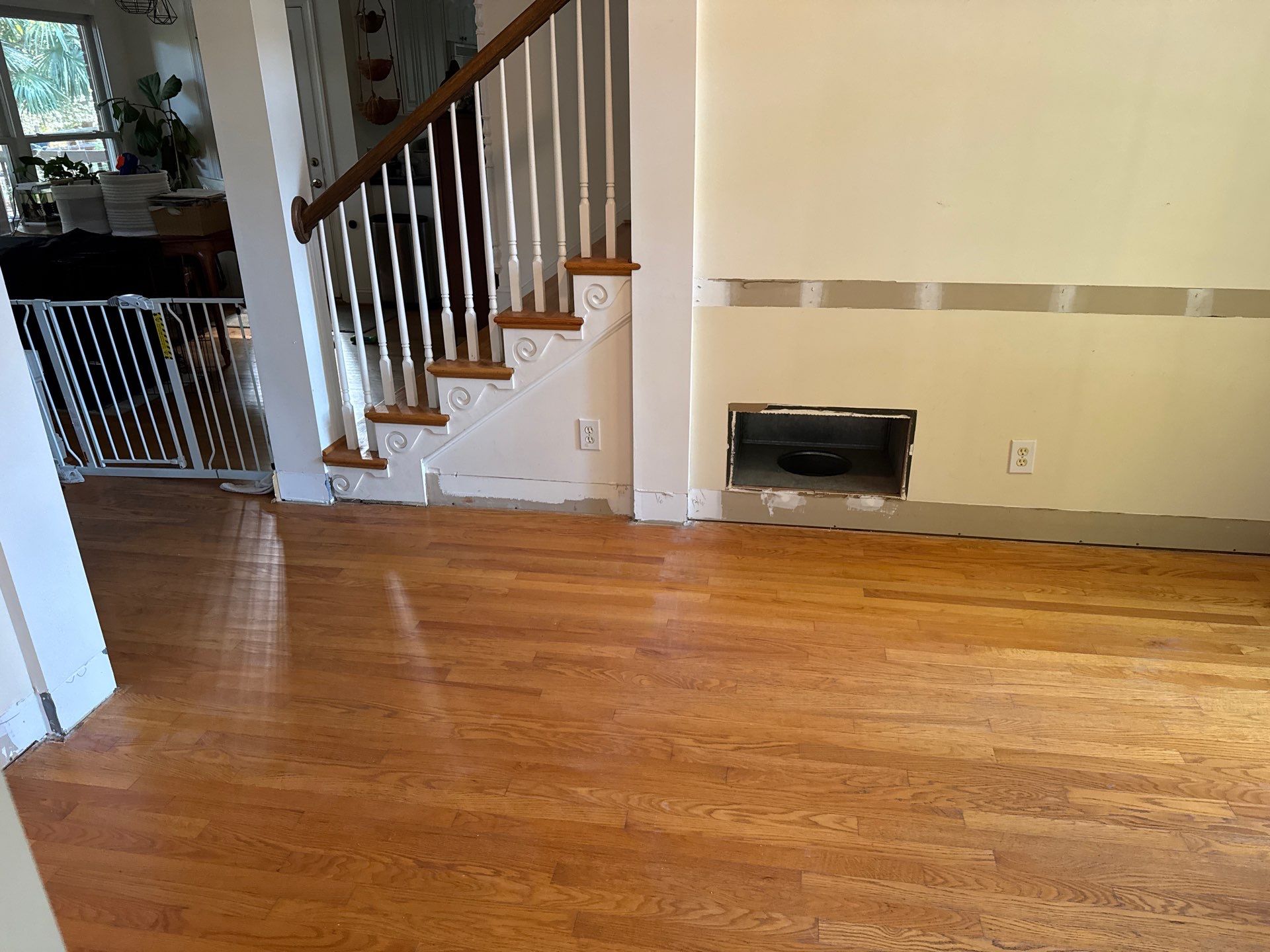 Front Room Transformed into a Waterproof Pet Room by A Step Above Handy LLC 