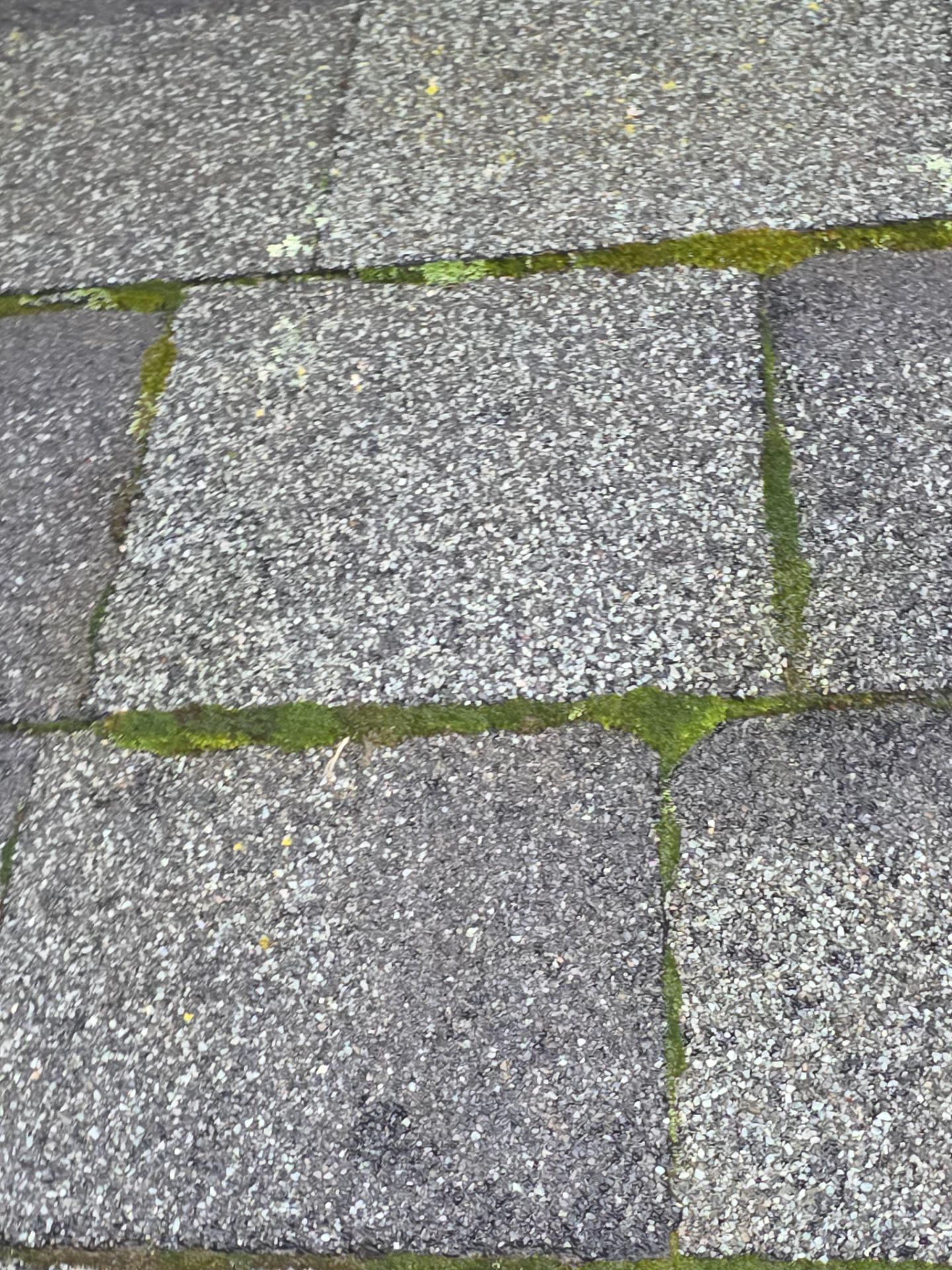  Roof Rejuvenation using Roof Maxx Treatment by Roof Maxx of Folsom