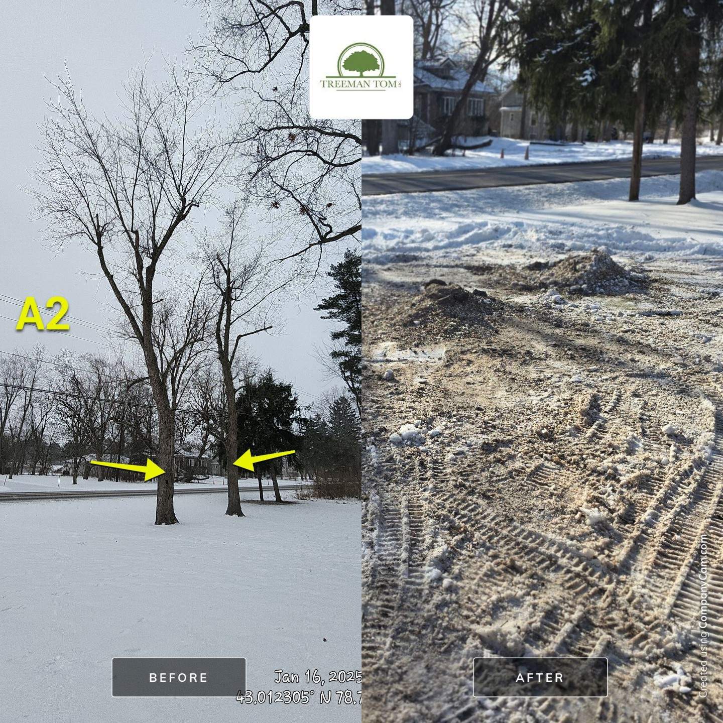 Tree Removal: Future Drive install by Treeman Tom LLC