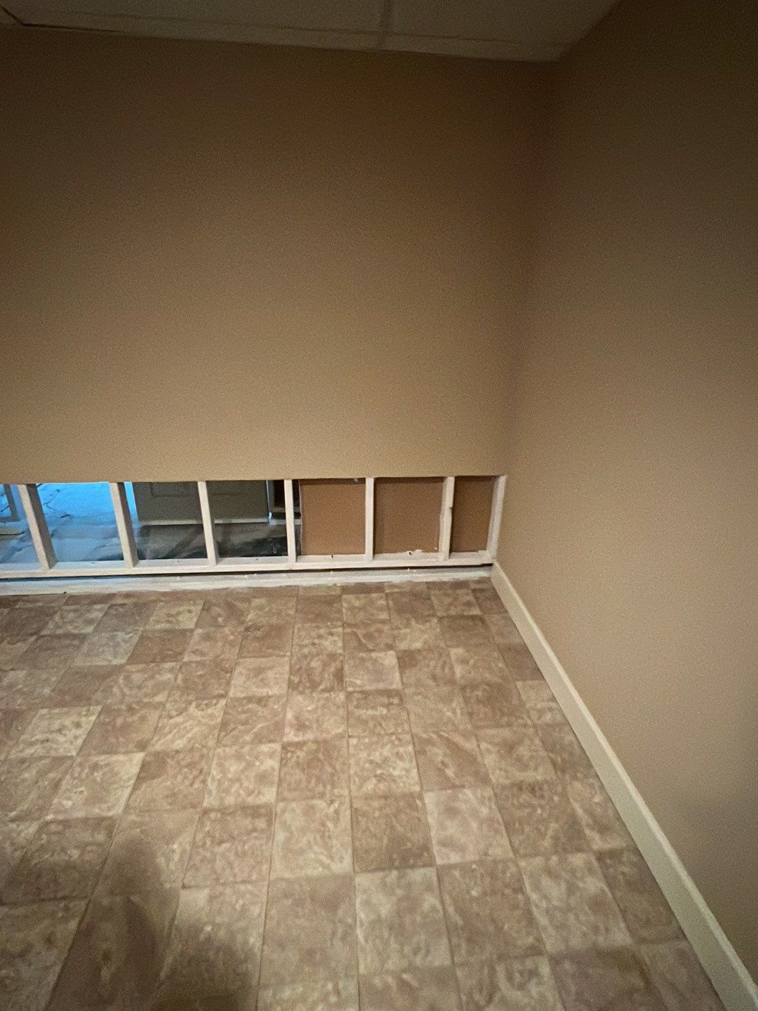 Mold Damage by Accountable Home Services