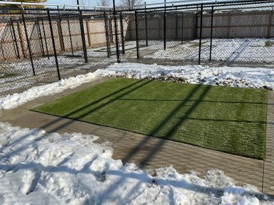 Ultimate Canine Repair