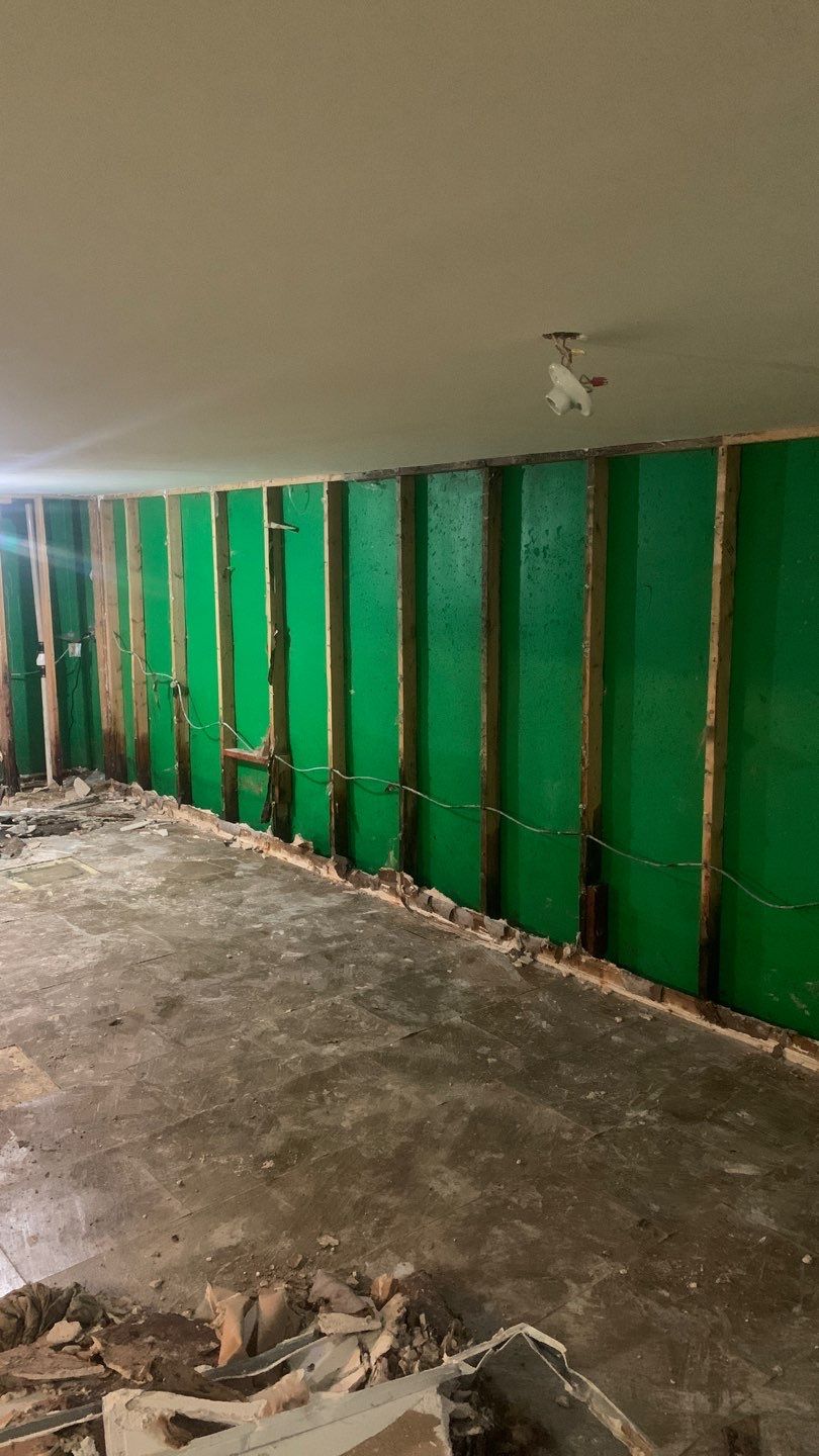 Grossly Contaminated Basement Mold by Chicagoland Water Medics