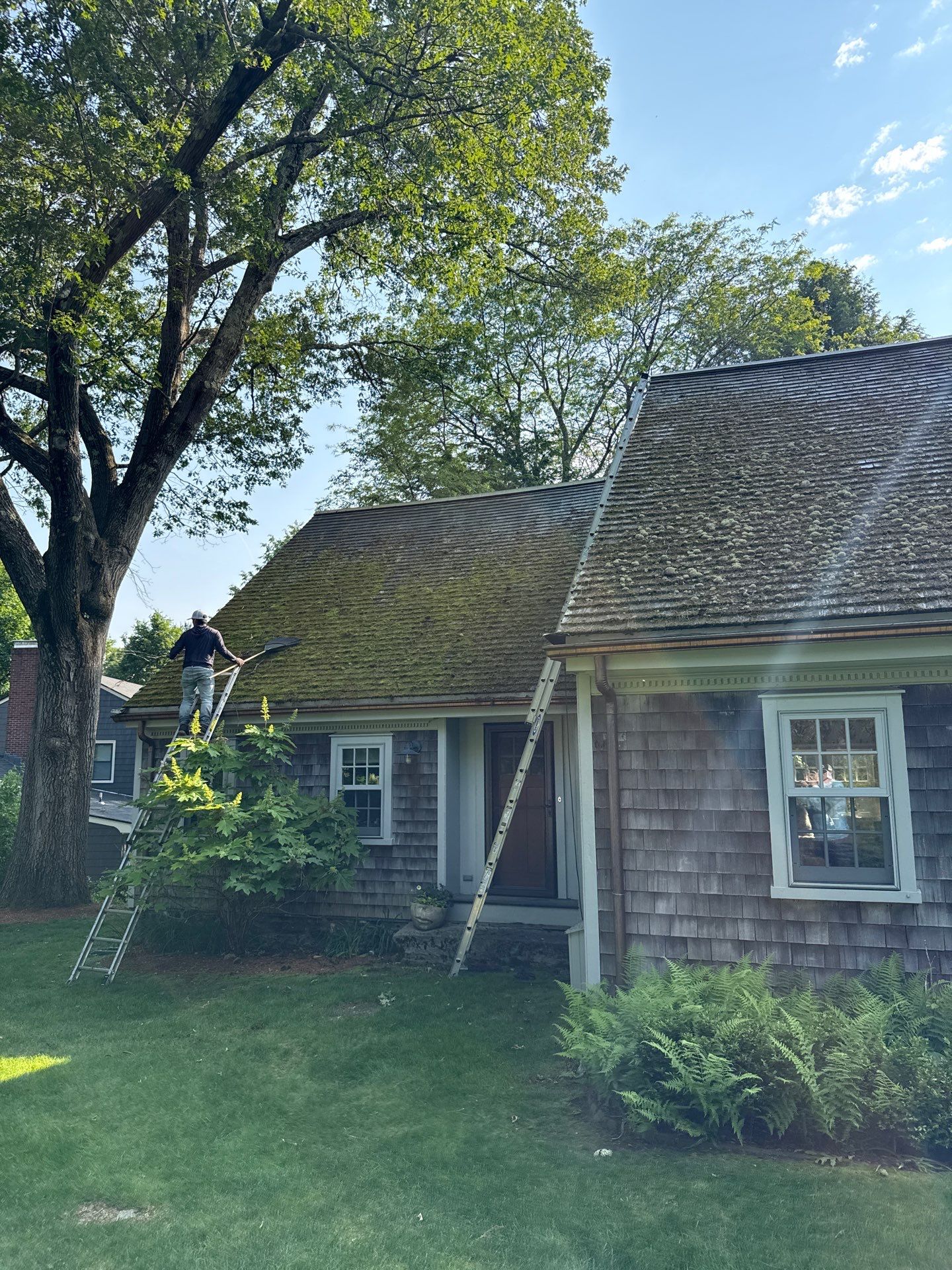 Skylight Installation & Structural Modifications in Belmont, MA by Mighty Dog Roofing of Greater Middlesex County